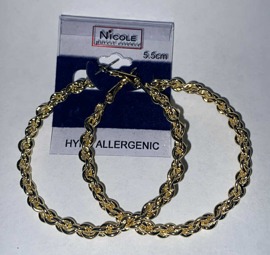 Gold Hypo Allergenic Earring