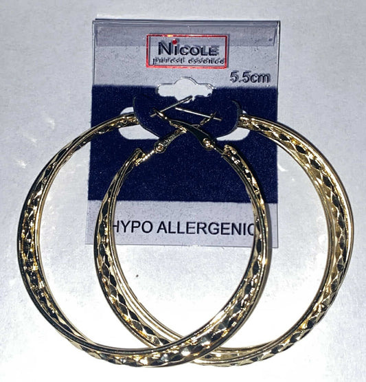 Gold Hypo Allergenic Hoop